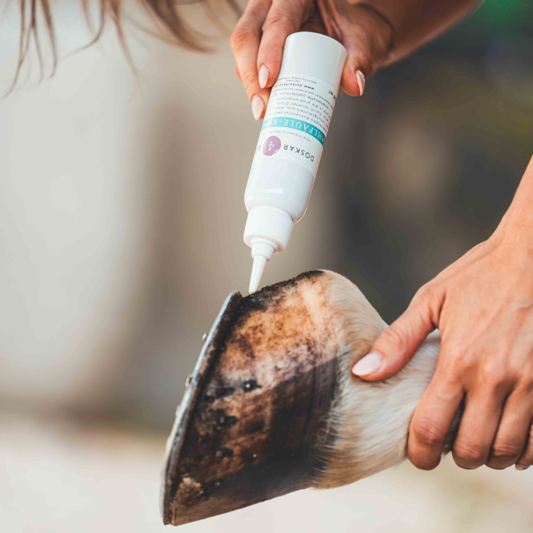 Nyírrothadás elleni koncentrátum