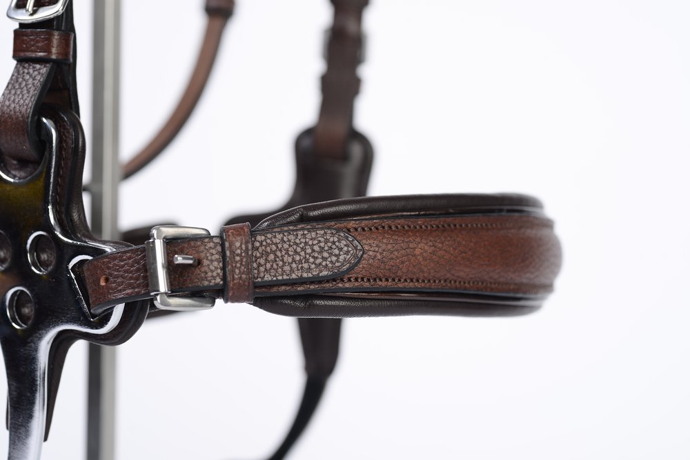 Ohio Hackamore