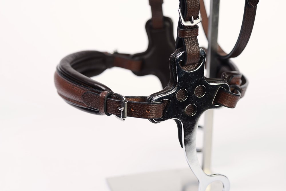 Ohio Hackamore