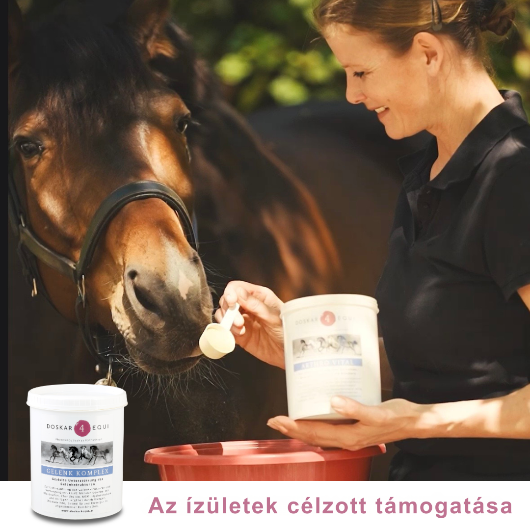 Gelenk Komplex
