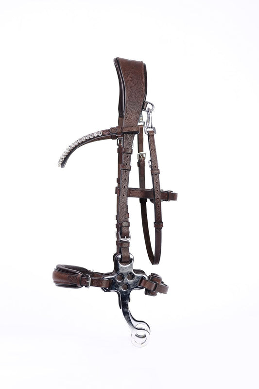 Ohio Hackamore