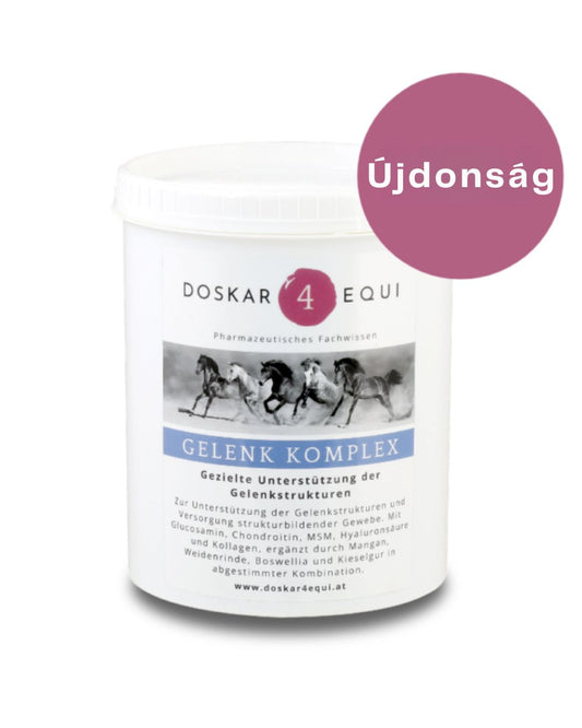 Gelenk Komplex